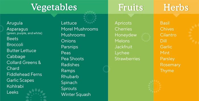 Spring-Produce-Chart.jpg Spring-Produce-Chart.jpg