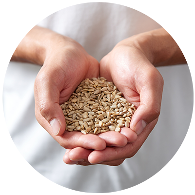 Sunflower Seeds ingredient being cradled in hands nothing artificial ever