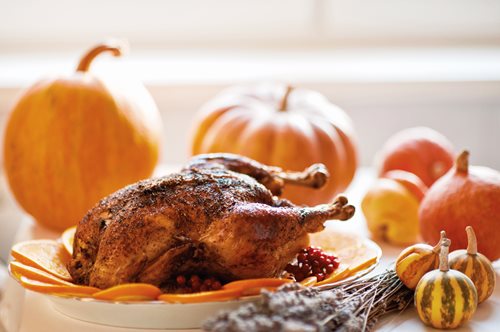 turkey-holiday-dinner-party-autumn-season-pumpkins-thanksgiving-thanksgiving-thanksgiving-day_t20_9lg8ZY.jpg