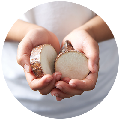 Cassava ingredient being cradled in hands, nothing artificial ever