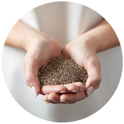 Chia Seeds ingredient being cradled in hands, nothing artificial ever