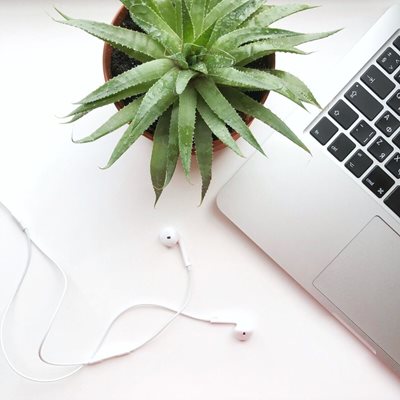 Laptop, headphone and green plant on a counter