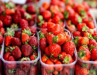 Seasonal strawberries found at a local farmers market. 