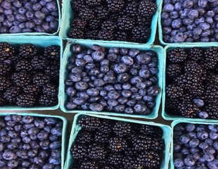 Locally grown blueberries and blackberries included in CSA box