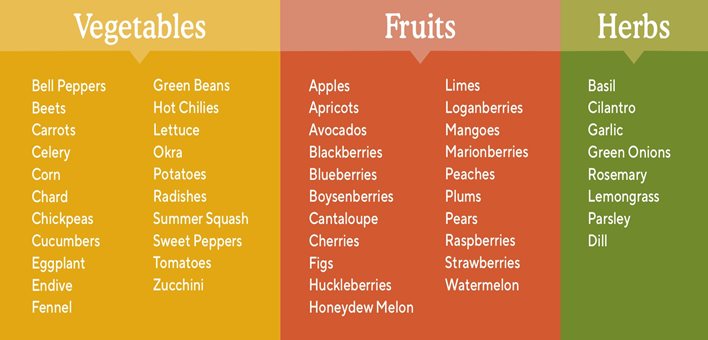 Vegetables, fruits and herbs chart